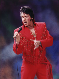 Elvis 6