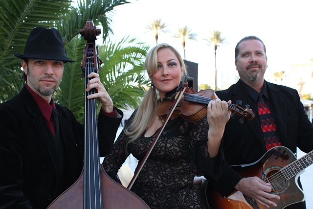 Violin, guitar, upright bass - TRIO