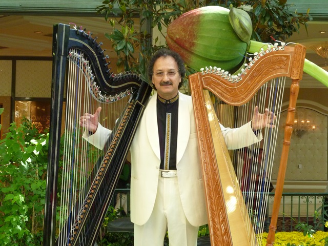 Harpist